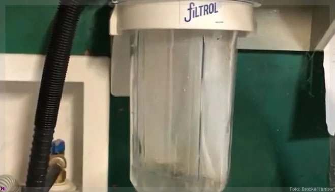 Filtros em máquinas de lavar reduzem poluição de microfibras, constata um estudo do Canadá