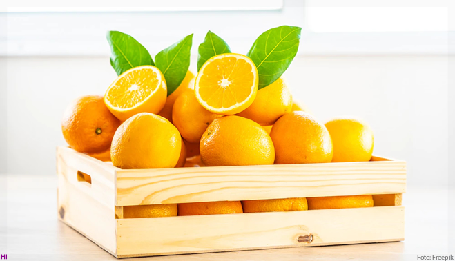 Pesquisadores da UFS transformam casca de laranja em alternativa contra o Aedes aegypti