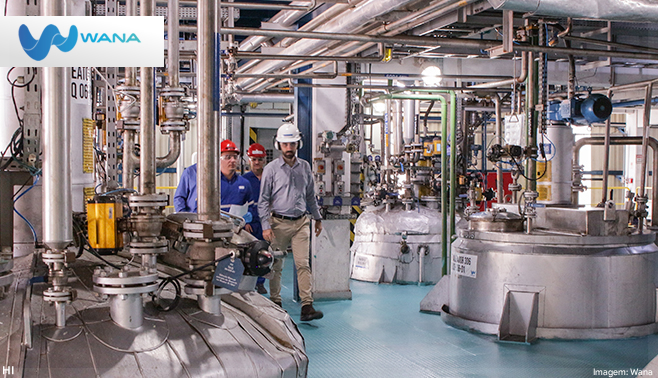 Capacidade produtiva da Wana cresce 130% em 10 anos